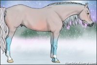 Horse Color:Gray Watercolor Silver Bay Dun 