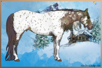 Horse Color:Gray Nacre Bay Ice Dun Tobiano Near Leopard 