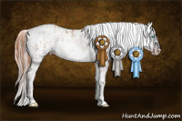 Horse Color:Gray Gold Champagne Pearl Dun Mushroom Appaloosa Brindle  and Sable Cream Champagne Appaloosa 