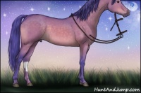 Horse Color:Watercolor Brown Dun Sabino Rabicano Brindle 