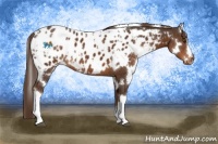 Horse Color:White Spotted Liver Chestnut Blanket 