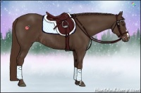 Horse Color:Liver Chestnut Rabicano  and Liver Chestnut 