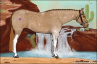 Horse Color:Red Roan Tobiano 