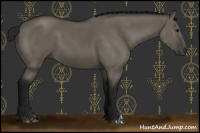 Horse Color:Gray Grullo 