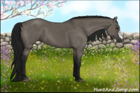 Horse Color:Gray Grullo 