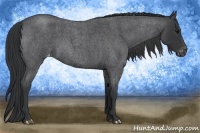 Horse Color:Blue Roan Varnish 