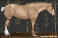 Horse Color:Gray Gold Cream Champagne 