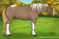 Horse Color:Gray Red Roan Splash Tobiano 