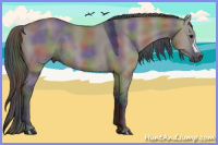 Horse Color:Gray Nacre Grullo Rabicano
