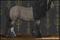 Horse Color:Gray Grullo 
