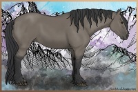 Horse Color:Grullo 