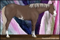 Horse Color:Silver Black Sabino 
