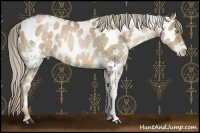 Horse Color:White Spotted Chocolate Palomino Pearl Near Leopard 