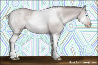 Horse Color:Gray Platinum White Spotted Silver Classic Champagne Roan Dun Splash Frame