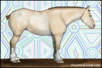 Horse Color:Gray Buckskin Roan Pearl Dun  and Gray Buckskin Roan Pearl Dun 