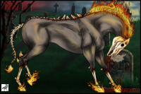 Horse Color:Gray Grullo Mushroom