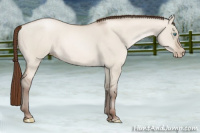 Horse Color:Gray Smoky Grullo Pearl 