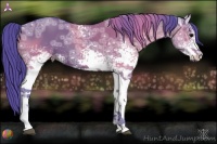 Horse Color:Watercolor White Spotted Grullo Ice