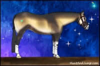 Horse Color:Brown Onyx 