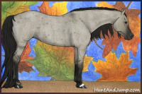 Horse Color:Gray Smoky Grullo Roan 