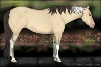 Horse Color:Amber Champagne Dun Tobiano 