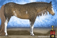 Horse Color:White Spotted Chocolate Palomino 