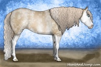 Horse Color:White Spotted Chocolate Palomino Pearl Splash