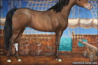 Horse Color:Gray Sable Champagne 