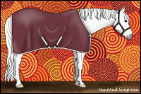 Horse Color:Gray Palomino 