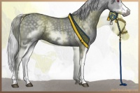 Horse Color:White Spotted Silver Grullo Chinchilla Frame 