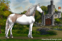 Horse Color:Gray Cremello Sabino  and Gray Cremello Sabino 