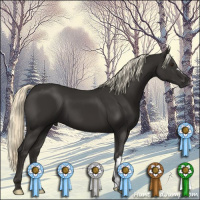 Horse Color:Liver Chestnut Mushroom 