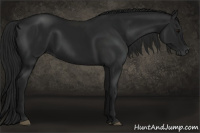 Horse Color:Gray Black 
