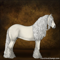 Horse Color:Gray Palomino 