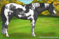 Horse Color:Black Tobiano Frame 