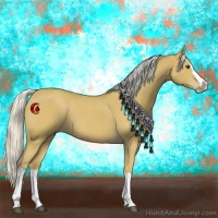 Horse Color:Silver Buckskin Roan Splash