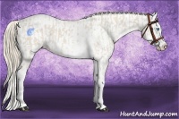 Horse Color:Smoky Creme Sabino  and Smoky Creme Sabino 