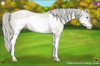 Horse Color:White Spotted Chocolate Palomino Pearl Dun Splash Frame 