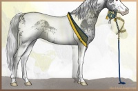 Horse Color:White Spotted Silver Black Chinchilla Tobiano Rabicano 