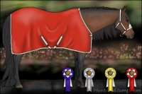 Horse Color:Bay Roan 