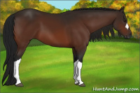 Horse Color:Gray Brown 