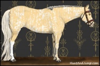 Horse Color:Palomino Leopard  and Palomino 