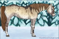 Horse Color:Liver Red Dun Roan Onyx Sabino Brindle