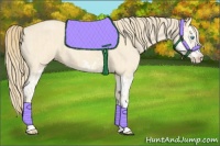 Horse Color:Perlino Roan Splash and Perlino Roan Splash Frame
