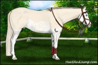 Horse Color:Perlino Splash and Perlino Splash Rabicano