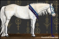 Horse Color:Cremello Splash  and Cremello Splash 