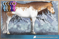 Horse Color:Chocolate Buckskin Splash Frame 