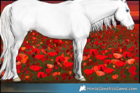 Horse Color:White Spotted Chocolate Silver Brown Pearl Dun Splash 