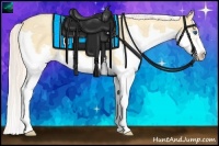 Horse Color:Silver Classic Champagne Dun Splash Frame 