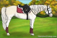 Horse Color:Cremello Splash  and Cremello Splash 